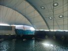 Eilat Shark Pool - from inside