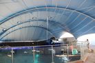 Eilat Shark Pool - from inside